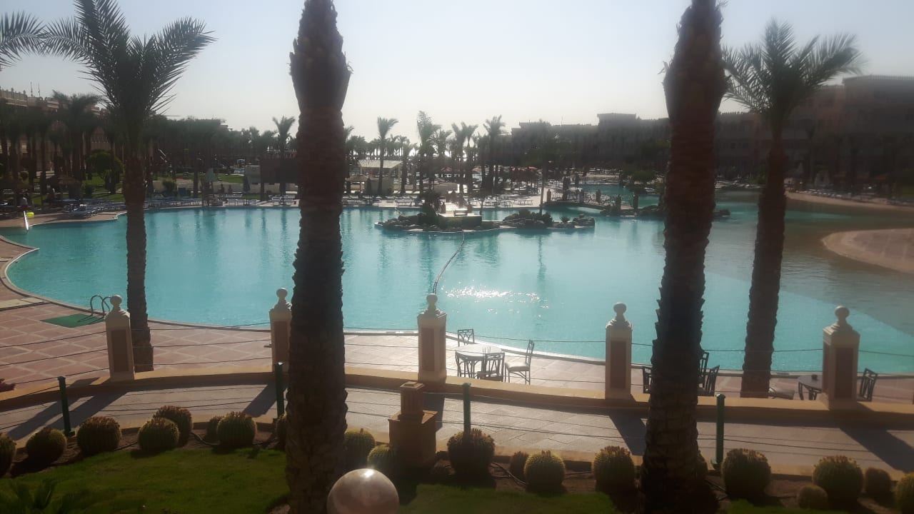 Pool Pickalbatros Palace Resort