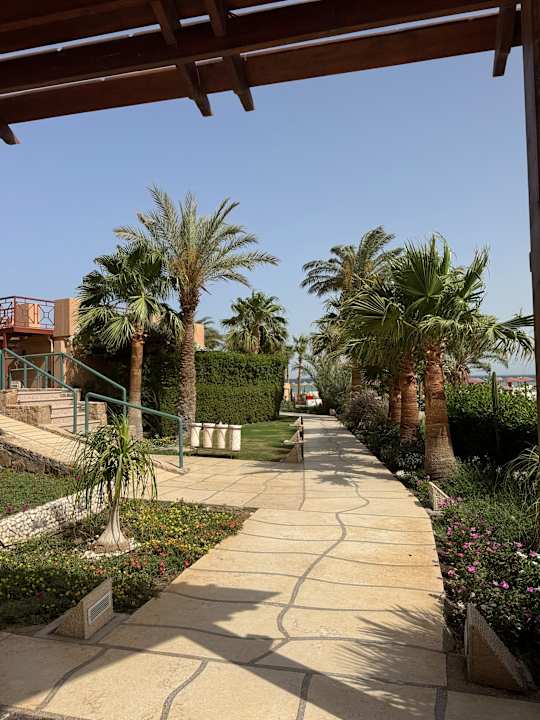 Gartenanlage Shams Prestige Abu Soma-Adults Only