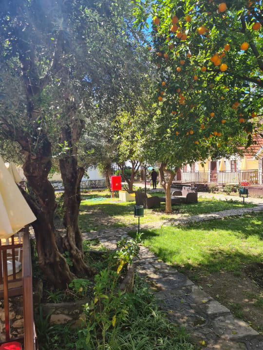 Gartenanlage Clover Magic Altınkum Park (Annex Clover Magic Nova Beach)
