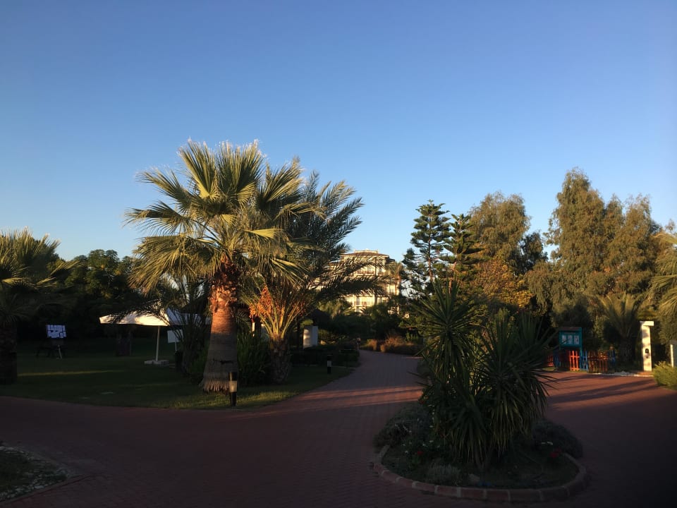 Garten Sunis Elita Beach Resort & Spa