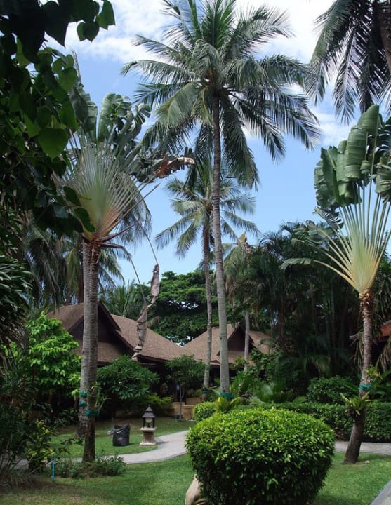 Gartenanlage The Fair House Beach Resort