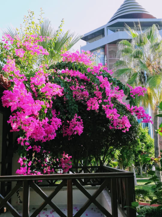 Garten Saphir Hotel & Villas