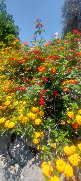 Gartenanlage Hotel Kalithea Horizon Royal