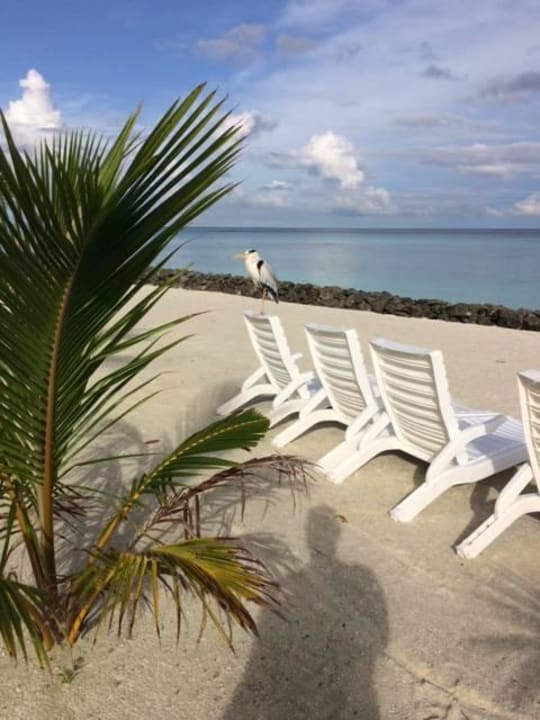 Zimmerausblick 380 Summer Island Maldives