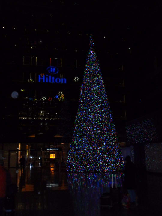 Imposanter Tannenbaum vorm Hotel Hilton Garden Inn Frankfurt Airport