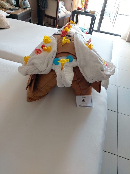 Zimmer Jaz Dar EL Madina