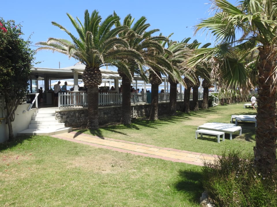 Gartenanlage Hotel Minos Mare Beach