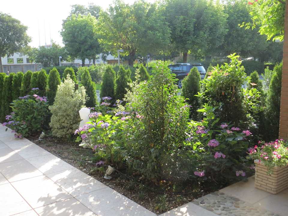 Garten vor der Bar Hotel Ristorante Ai Gelsi