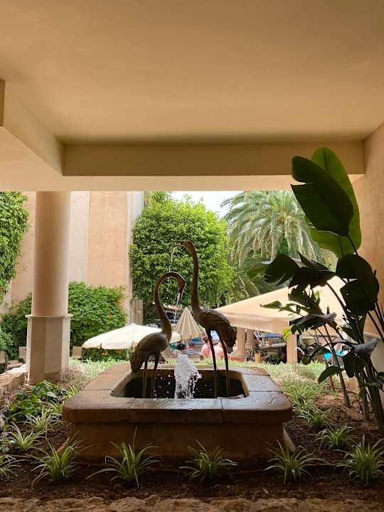 Ausblick Lago Garden