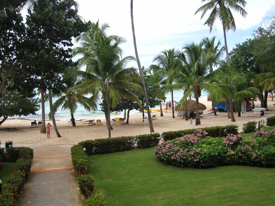 Zimmer, Doppelzimmer Meerblick Hotel Viva Dominicus Palace by Wyndham-All Inclusive Resort