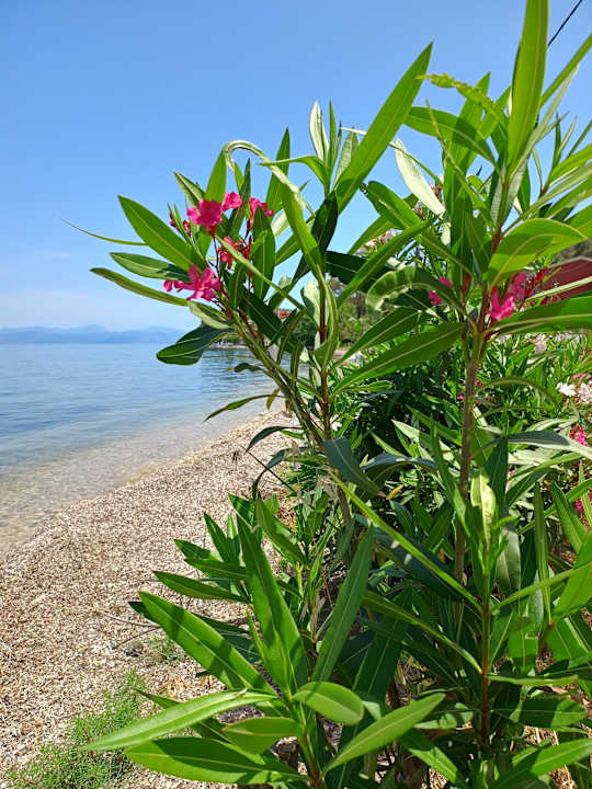 Sonstiges Hotel Albatros