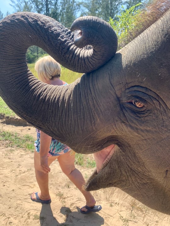 Sonstiges Apsara Beachfront Resort & Villa - Resort