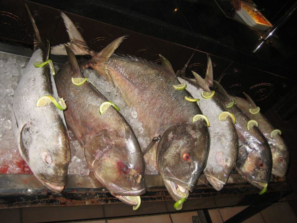 Frischer gehts nicht TUI MAGIC LIFE Redsina Sharm El Sheikh