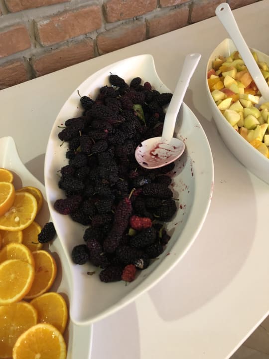 Gastro Hotel Orfeus Park