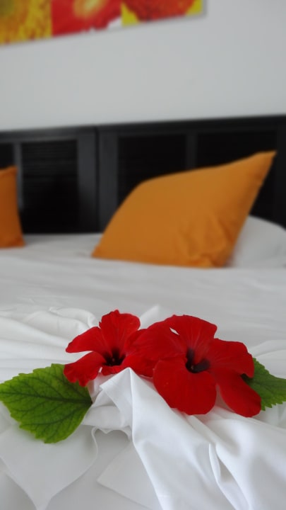Blumen vom Zimmermädchen Hotel Club Tropicana & Spa