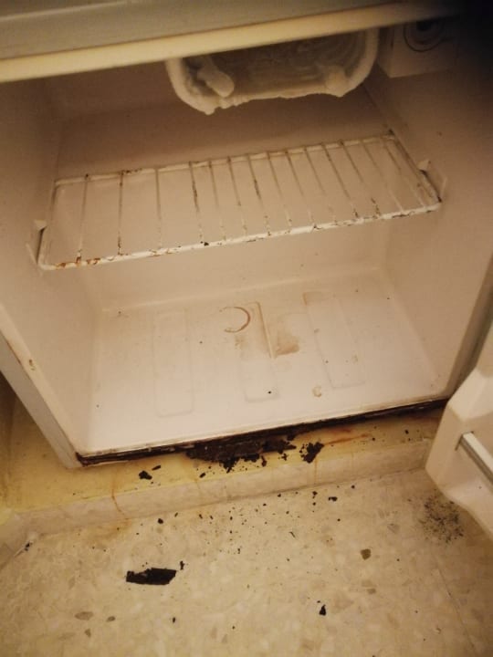 Zimmer Palmyra Golden Beach