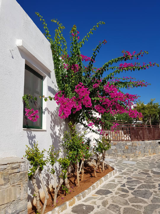 Gartenanlage Creta Maris Resort