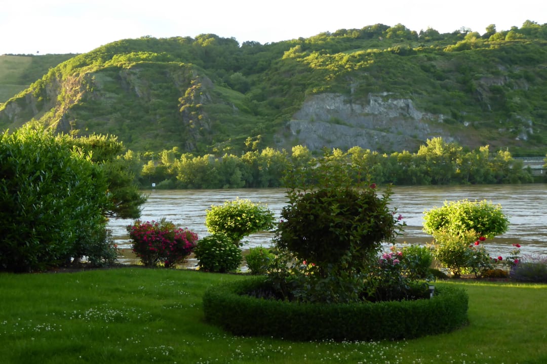 Blick aus Zimmer 21 Hotel Villa am Rhein