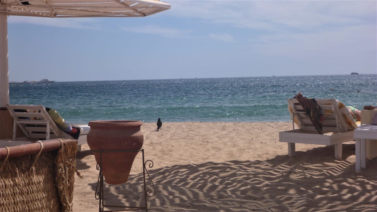 Strand Menaville Safaga