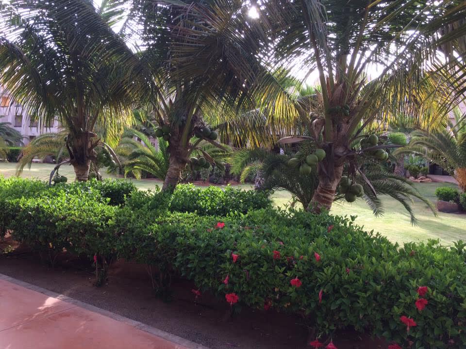 Gartenanlage Hotel Riu Touareg