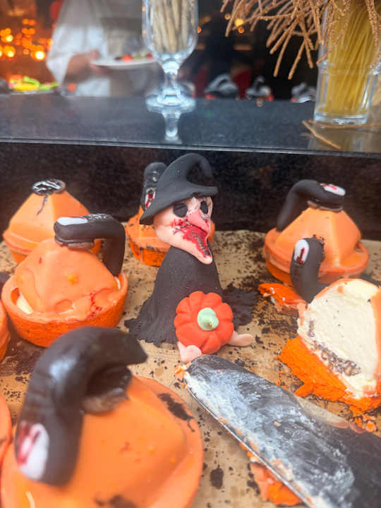 Gastro Seashell Vega