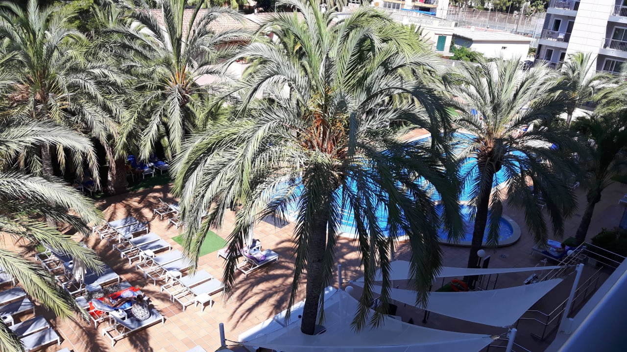 Blick vom Balkon Hotel Cosmopolitan