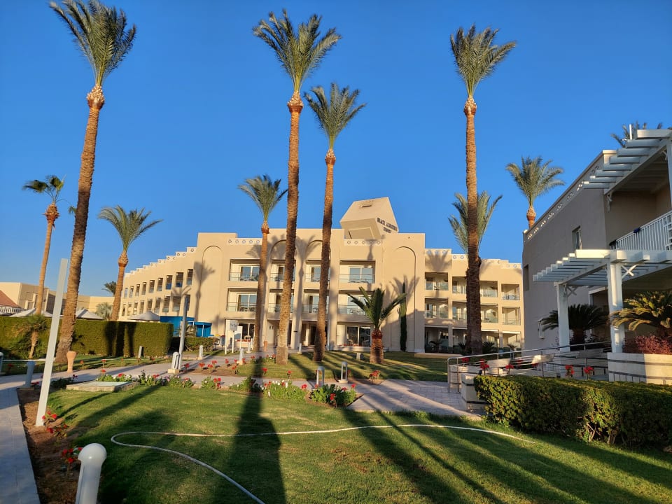 Gartenanlage Beach Albatros Resort