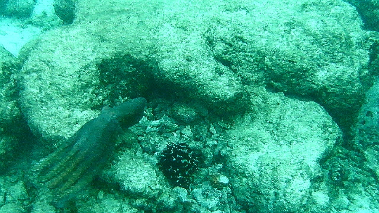 Sport & Freizeit Adaaran Select Hudhuran Fushi - Premium All Inclusive