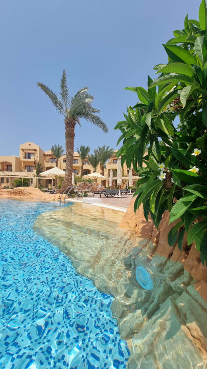 Pool Steigenberger Coraya Beach - Adults only