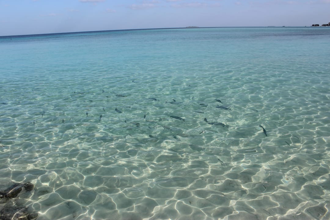 Wunderschön Summer Island Maldives