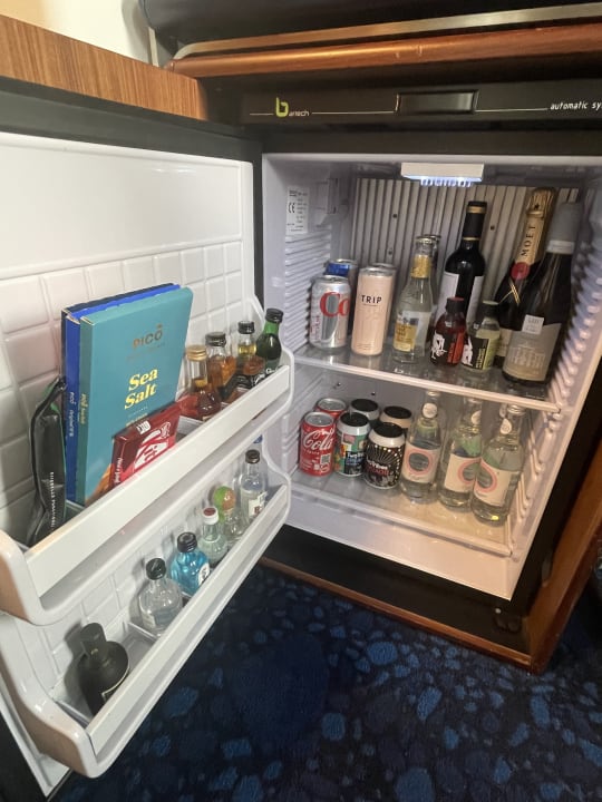 Zimmer The Standard London