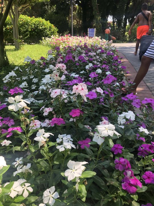 Gartenanlage Belconti Resort Hotel