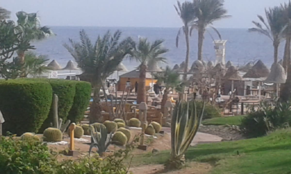 Ein Blick auf die Gartenanlage Richtung Strand Parrotel Beach Resort