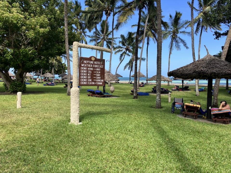 Gartenanlage Neptune Village Beach Resort & Spa