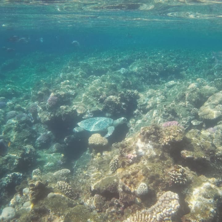 Strand Three Corners Sea Beach Resort