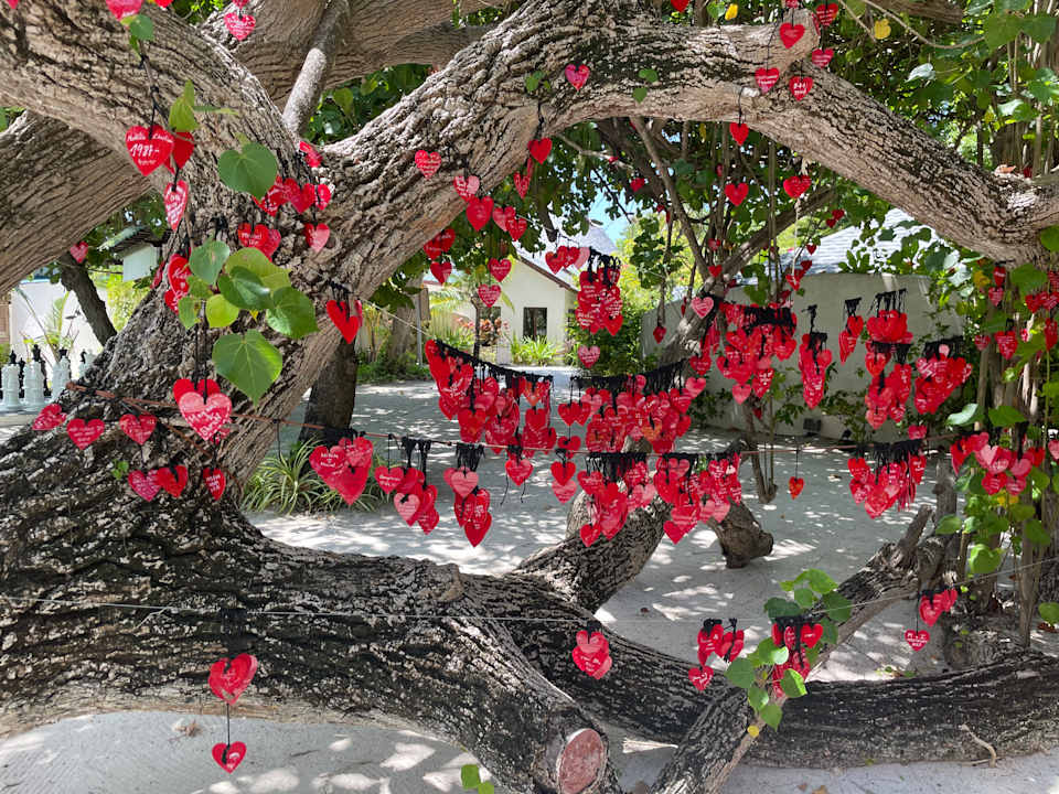 Gartenanlage Centara Ras Fushi Resort & Spa Maldives