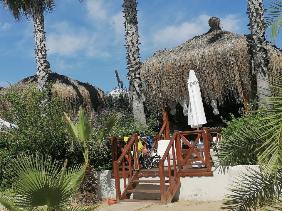 Strand Paloma Oceana