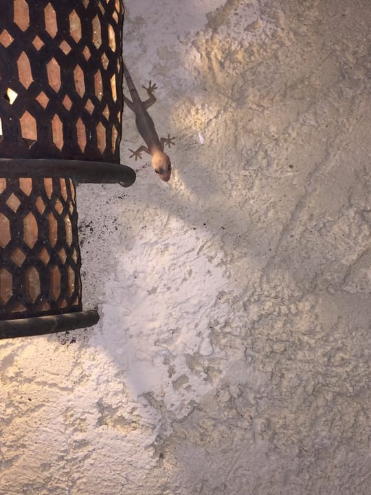 Außenansicht Villas Bavaro Resort & Spa