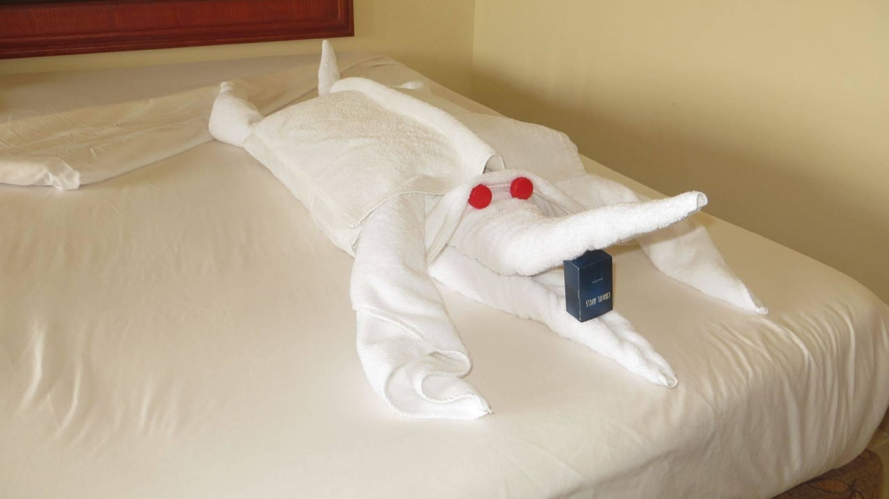 Selbst erklärend Coral Hills Resorts & SPA