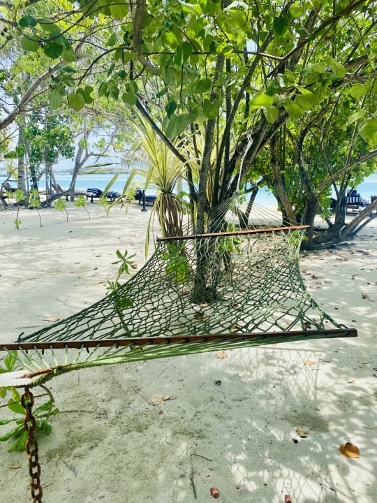 Sport & Freizeit Cinnamon Dhonveli Maldives