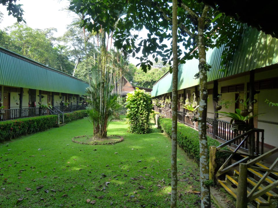 Blick zu den Zimmern Hotel Sukau Rainforest Lodge
