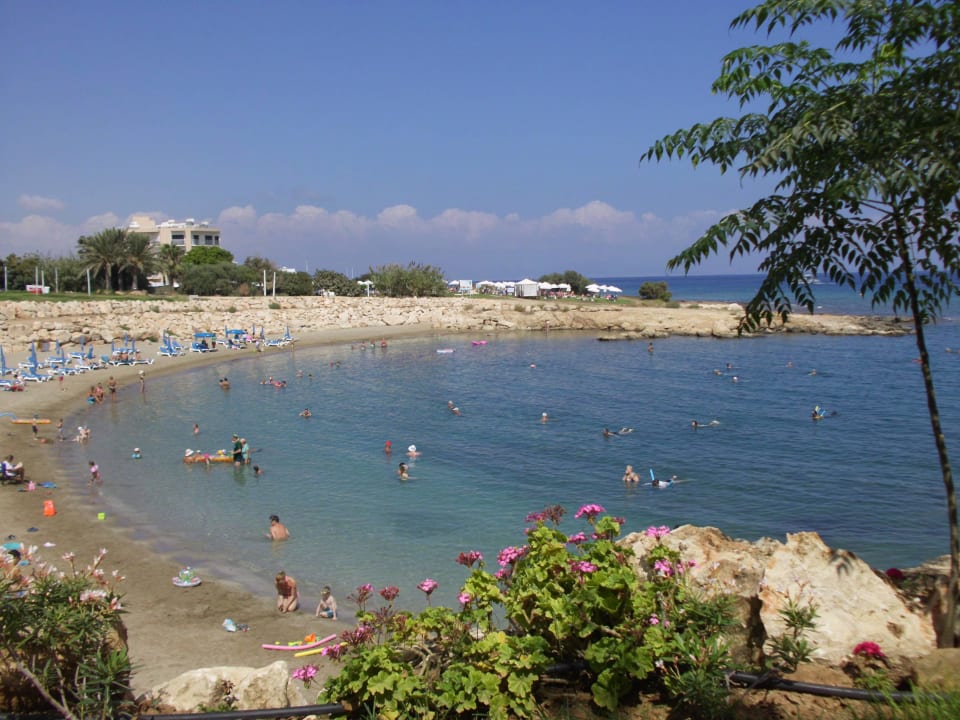 Tolle Badebucht Crystal Springs Beach Hotel