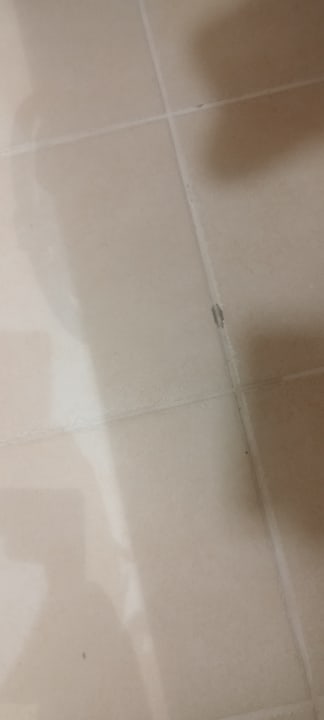 Zimmer Blau varadero - Adults only