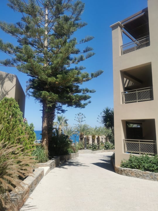 Gartenanlage Nana Golden Beach