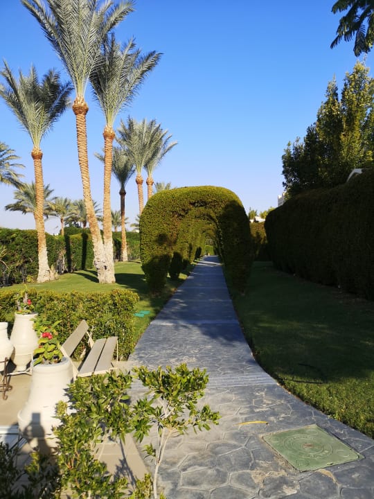 Gartenanlage Hotel JAZ Makadi Star & Spa