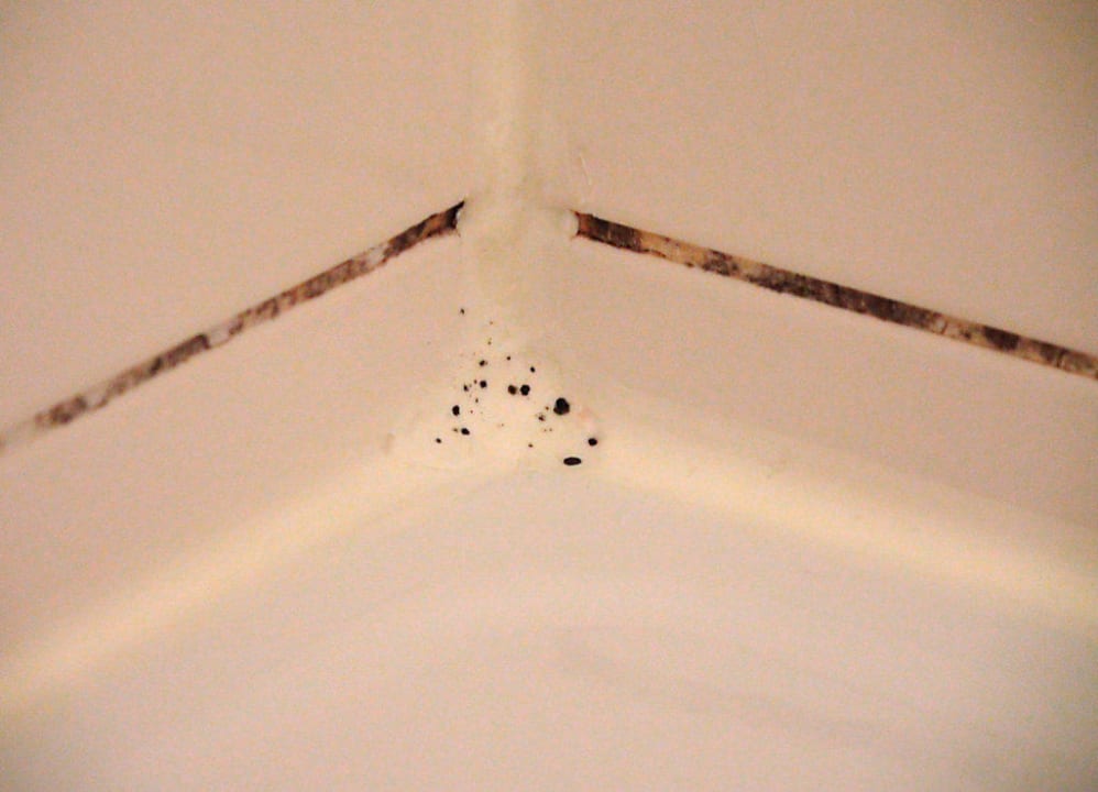 Schimmel in der Dusche acom Hotel Berlin Kurfürstendamm