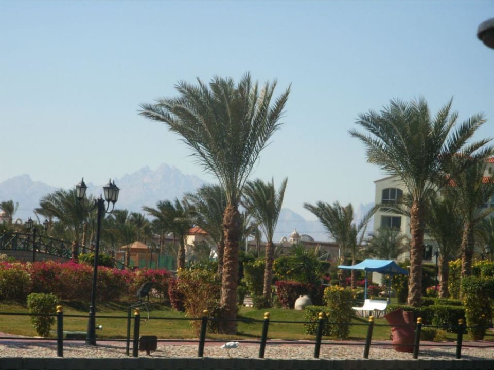 Schöne Anlage Pickalbatros Dana Beach Resort - Hurghada