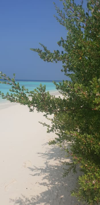 Strand Kuredhivaru Resort and Spa, Maldives