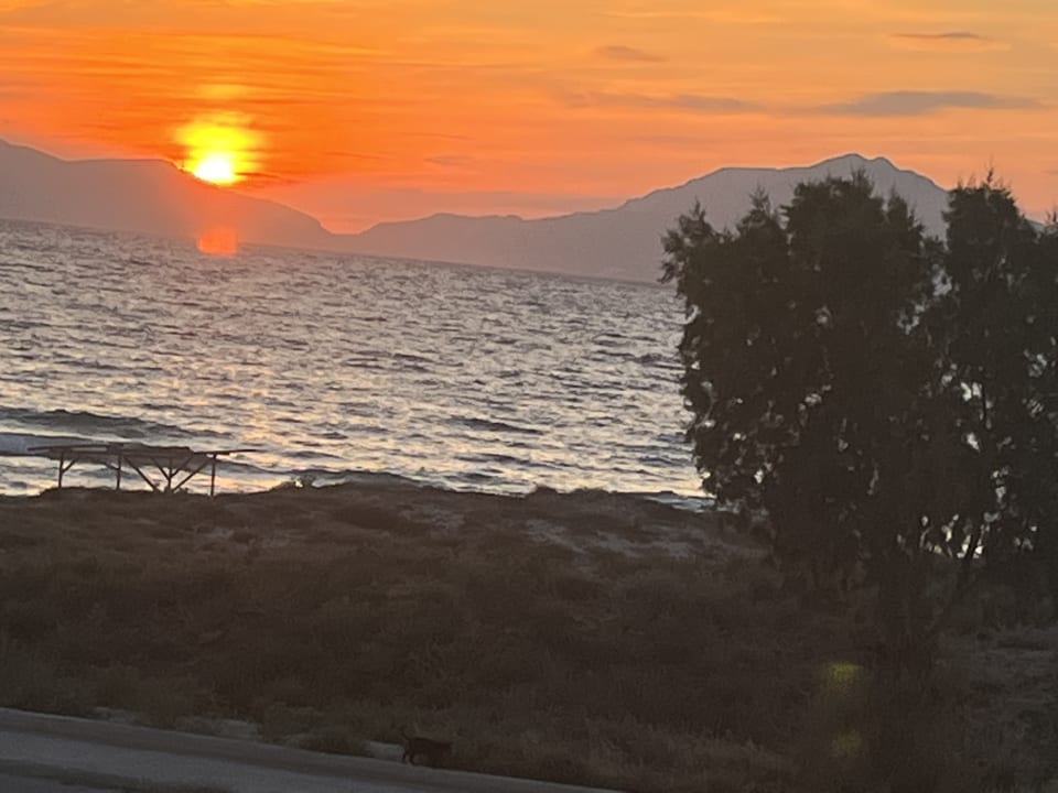 Zimmer Sentido Pearl Beach Kos – Adults only