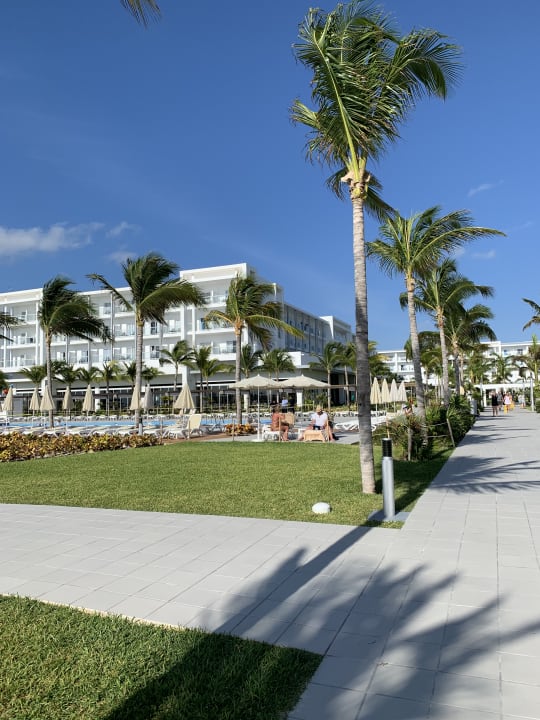 Pool Hotel Riu Dunamar